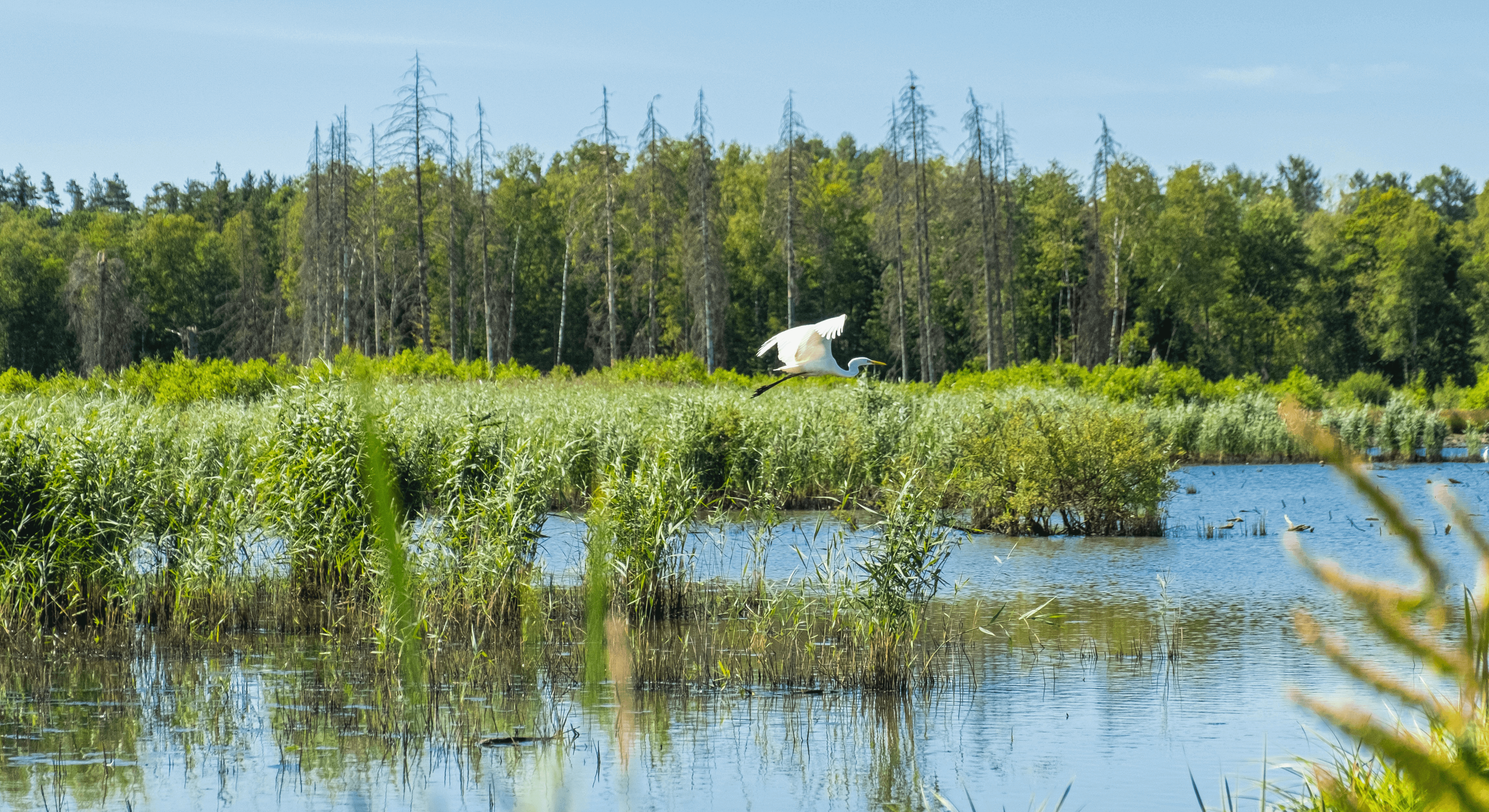 Continuing Education within biodiversity