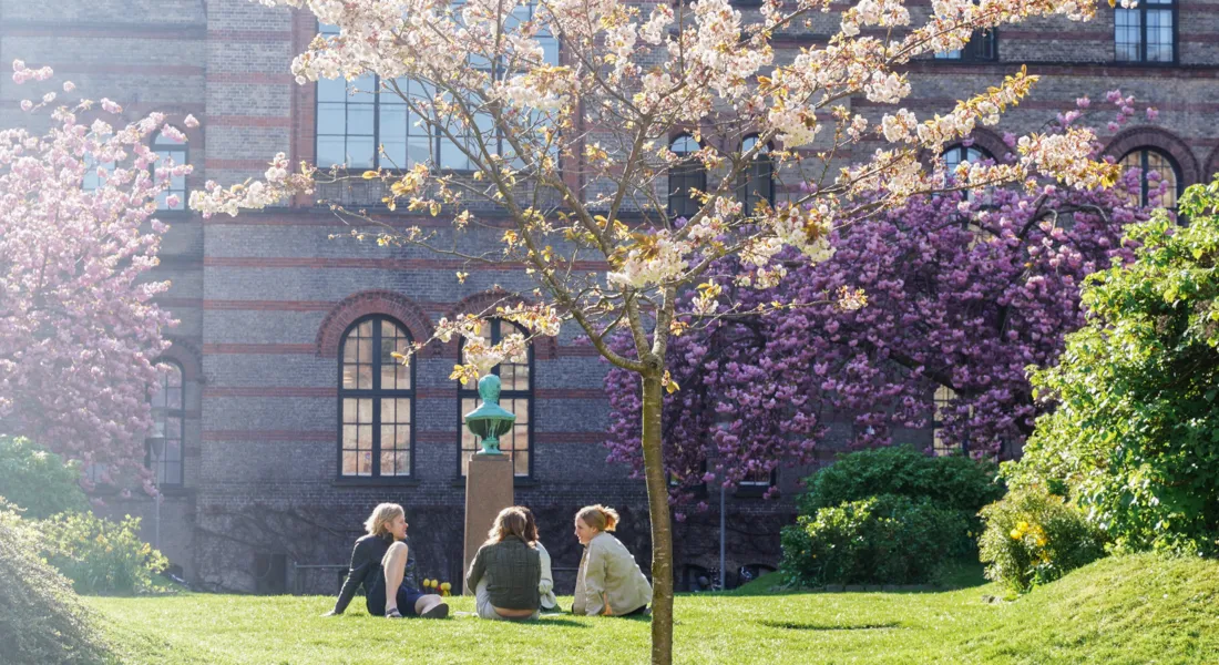 Det Samfundsvidenskabelige Fakultet, Københavns Universitet