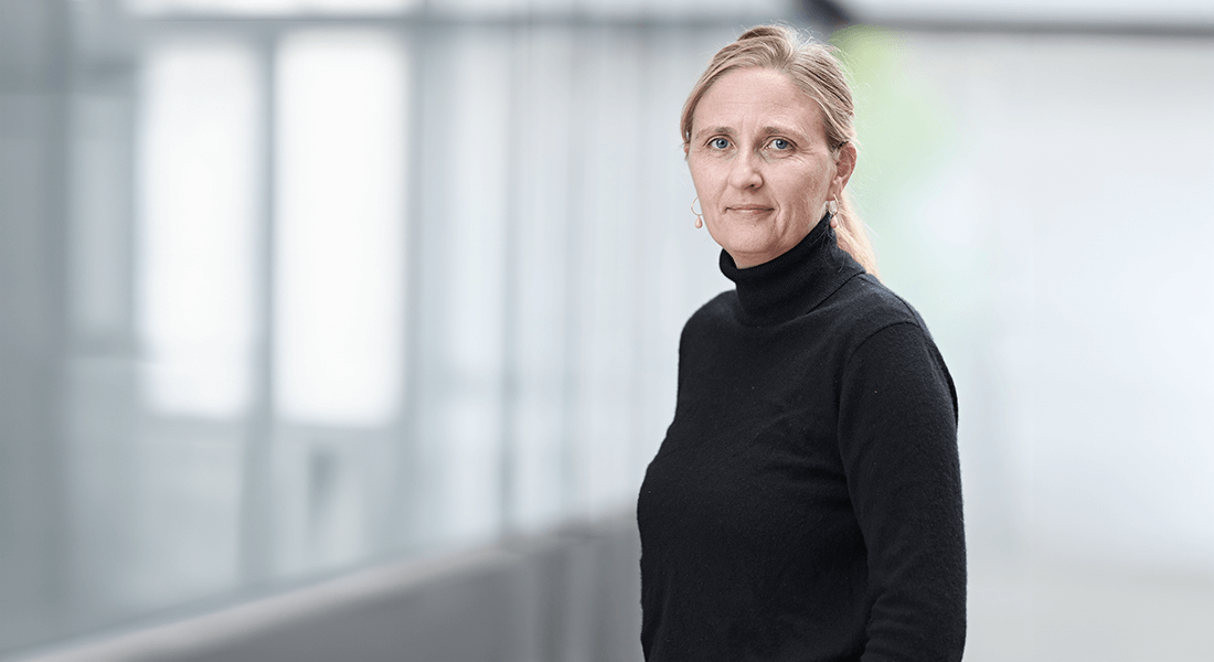 Professor, Institut for Naturfagenes Didaktik, KU